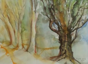 Bilder Brigitta Grohe