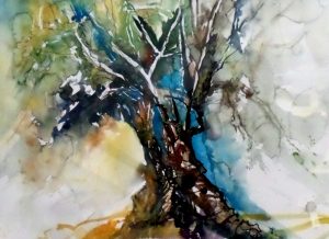 Bilder Brigitta Grohe