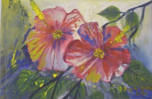 Bilder Brigitta Grohe