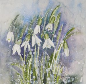 Bilder Brigitta Grohe