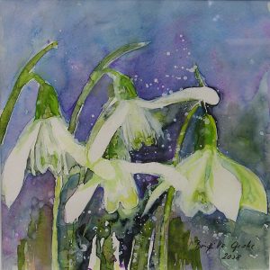 Bilder Brigitta Grohe