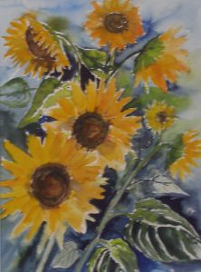 Bilder Brigitta Grohe