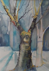 Bilder Brigitta Grohe
