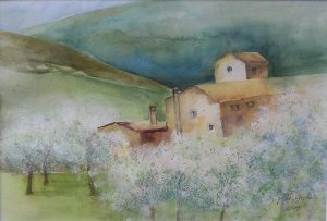 Bilder Brigitta Grohe
