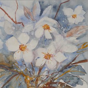 Bilder Brigitta Grohe